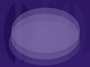 宠物猫抓柱选购技巧，保护家具不被毁坏